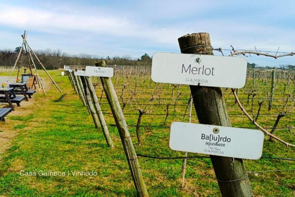 Vinícola Casa Gamboa | Argentina